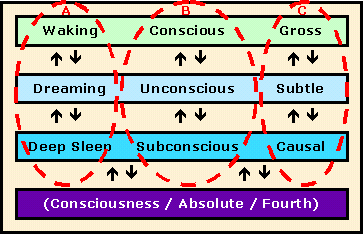 Levels and Dimensions of Consciousness in Yoga Levels and Dimensions of Consciousness in Yoga